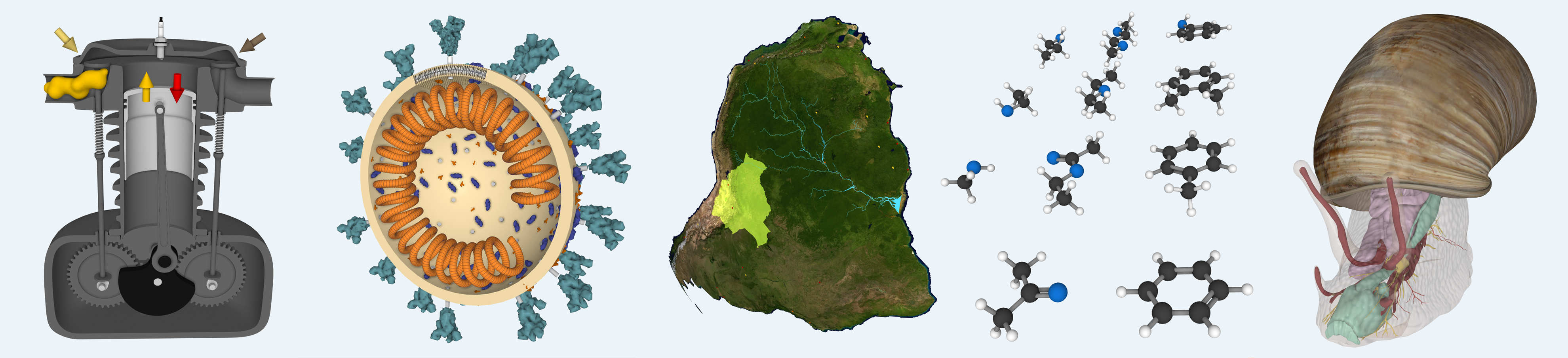 Our passion is visualization.